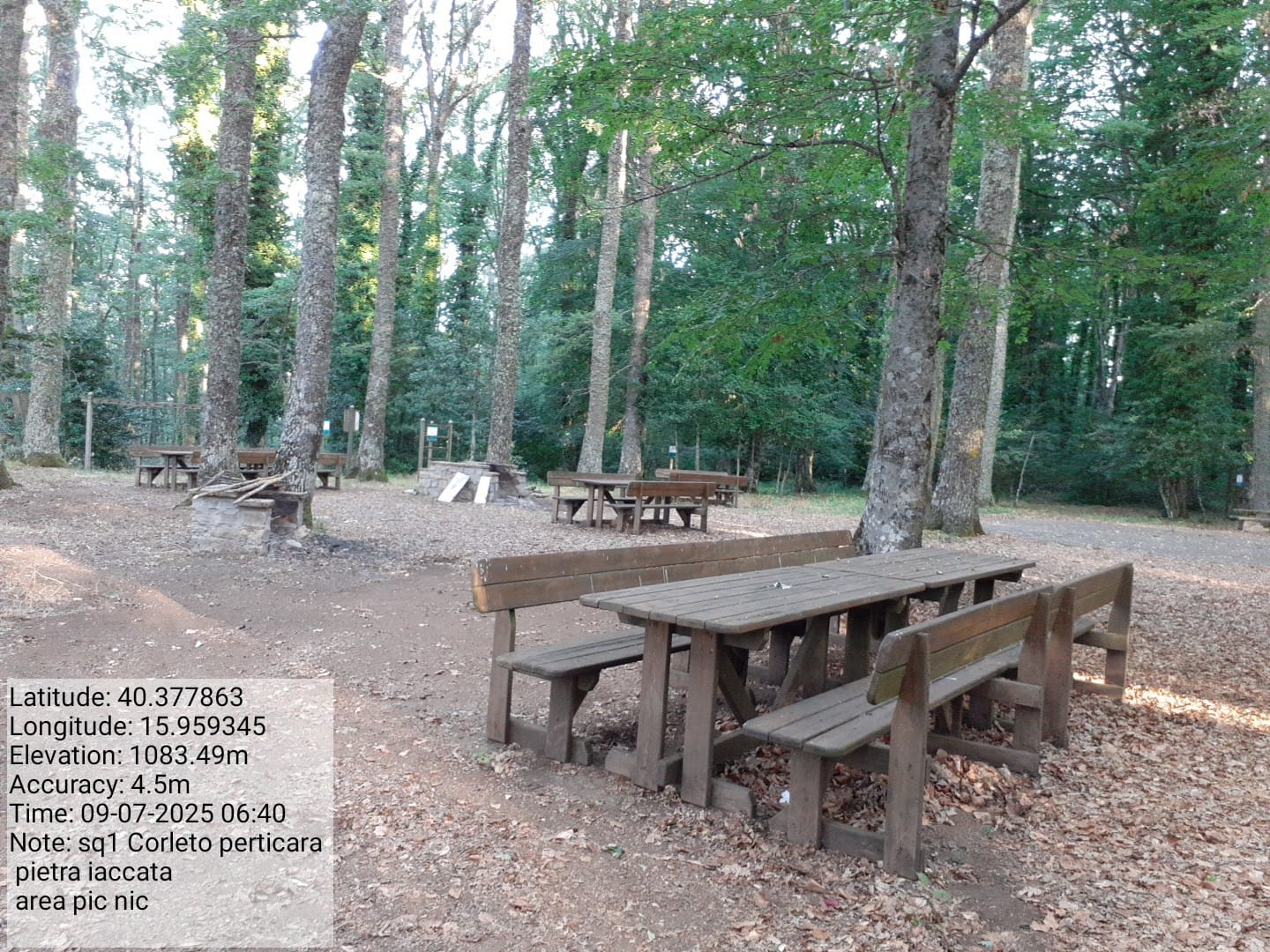 Galleria Fotografica Immagine