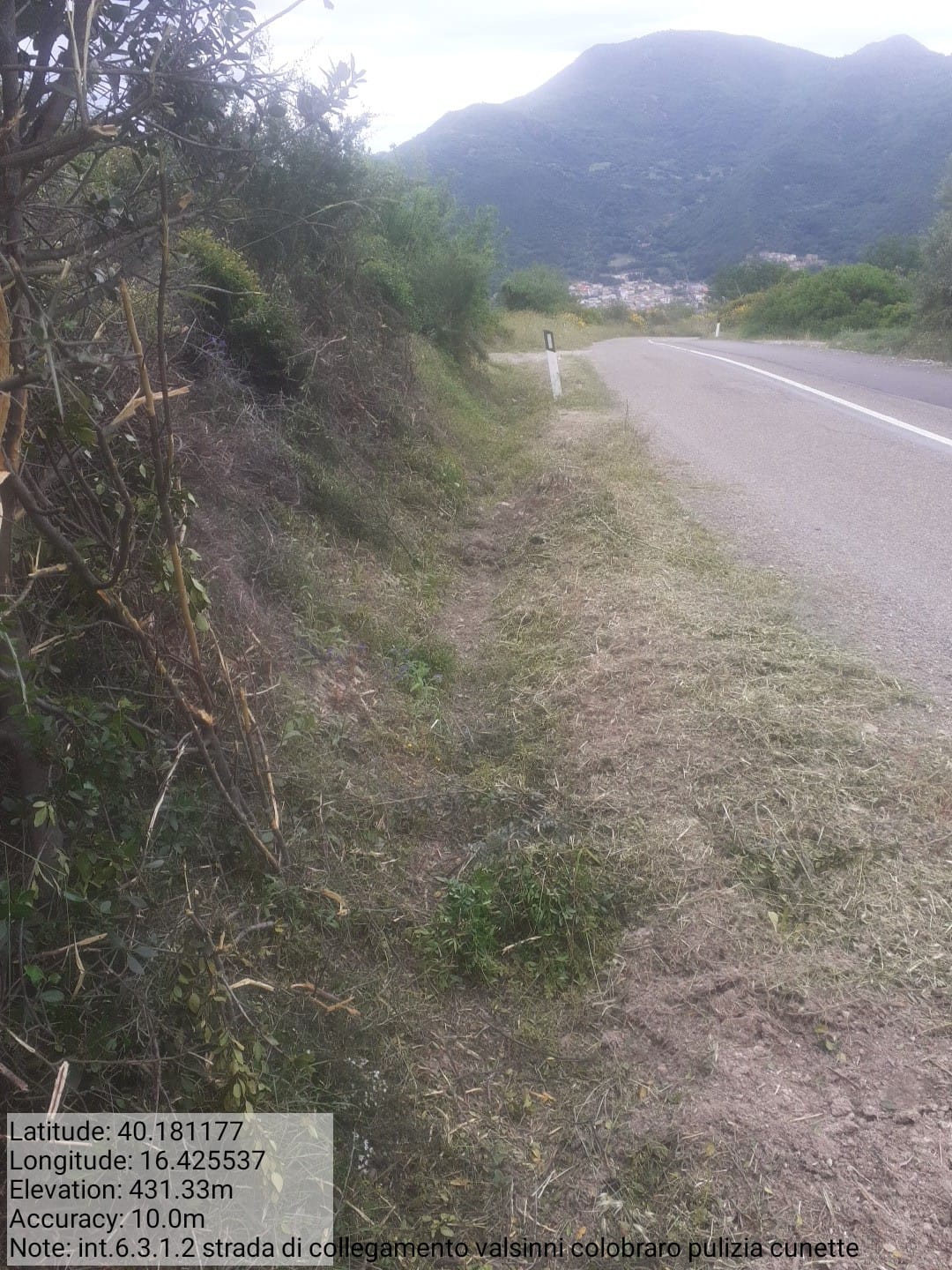 Galleria Fotografica Immagine