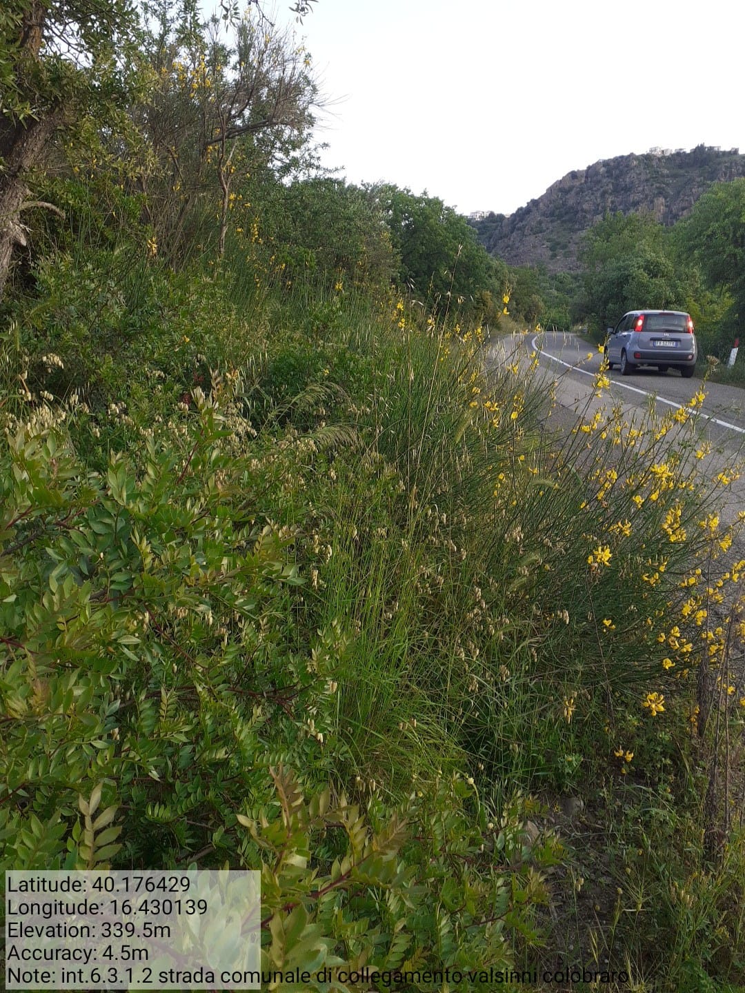 Galleria Fotografica Immagine