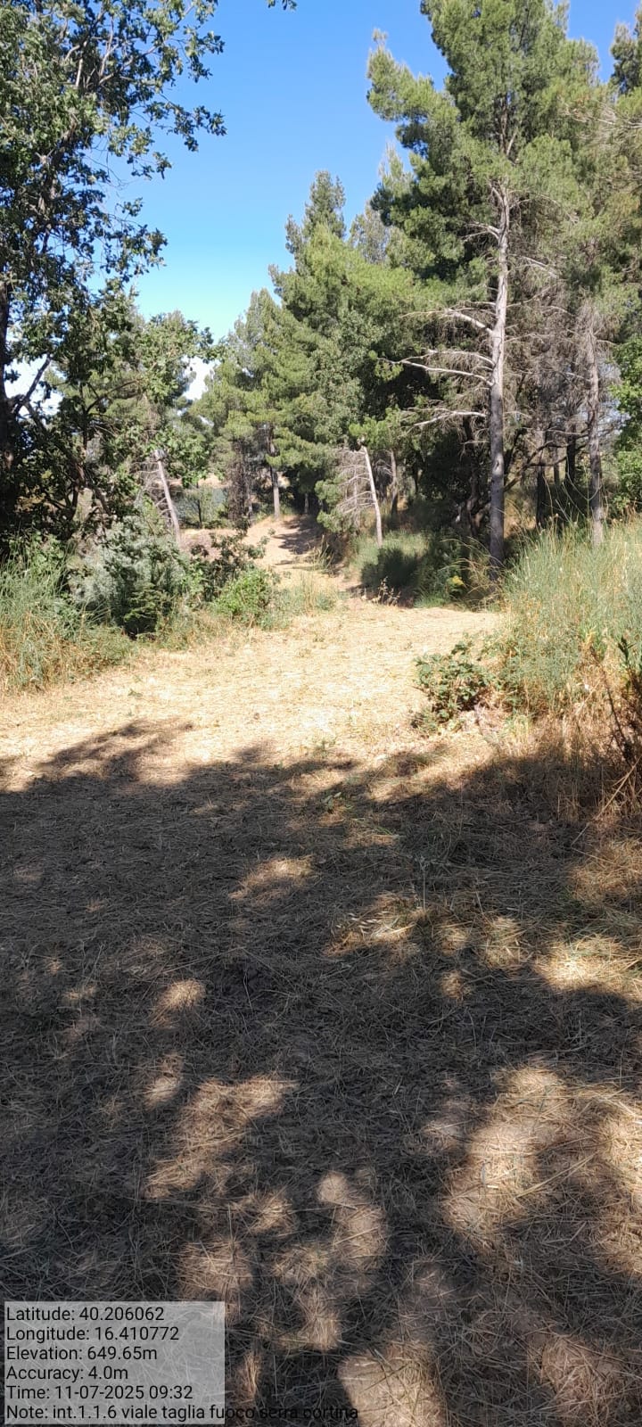 Galleria Fotografica Immagine