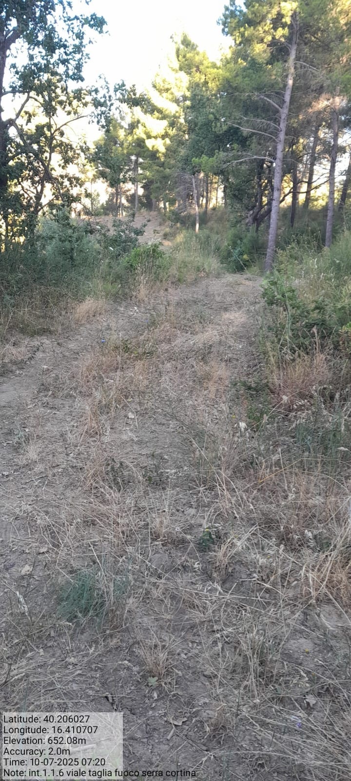 Galleria Fotografica Immagine