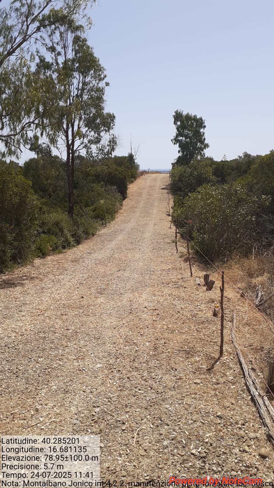 Galleria Fotografica Immagine