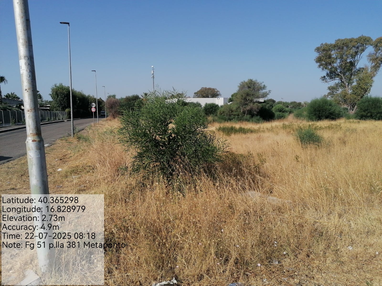 Galleria Fotografica Immagine