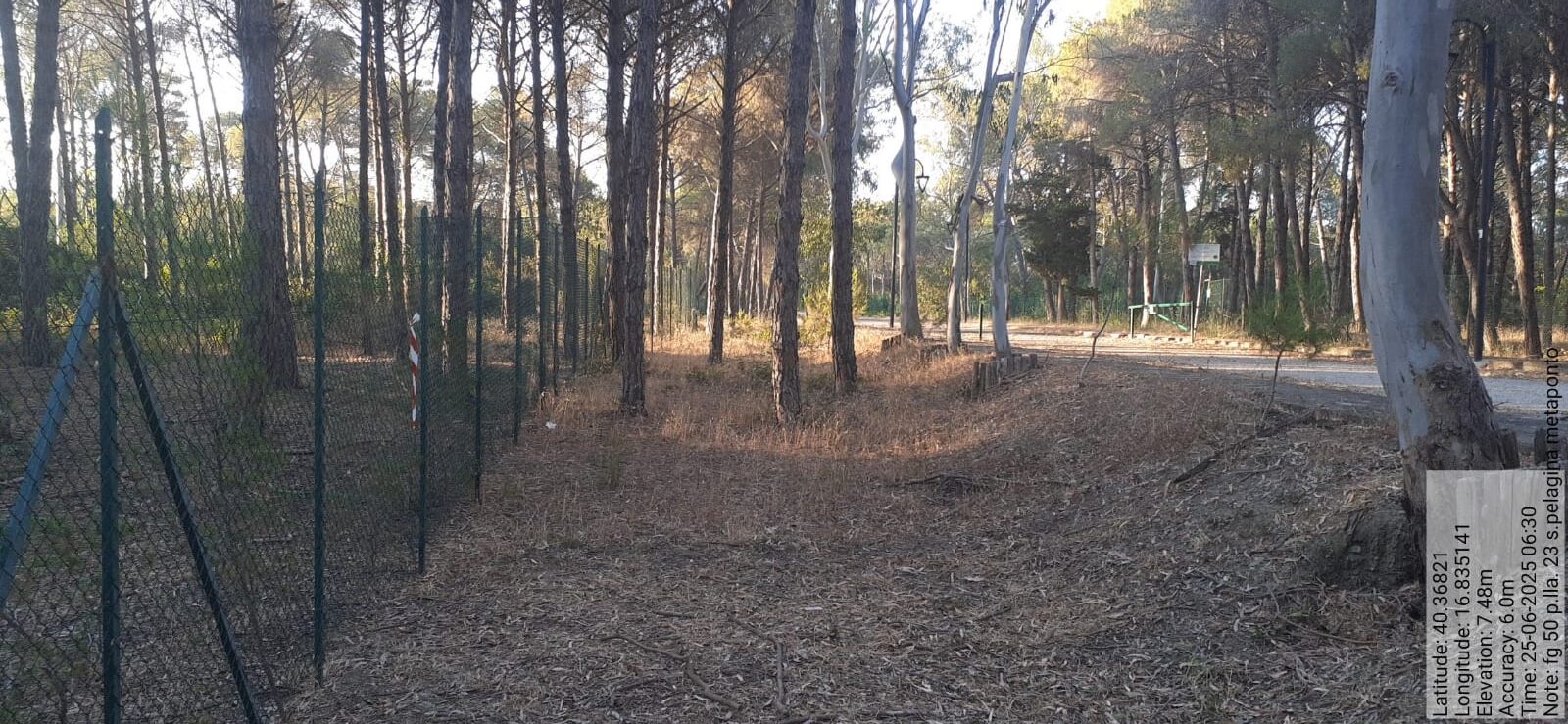 Galleria Fotografica Immagine