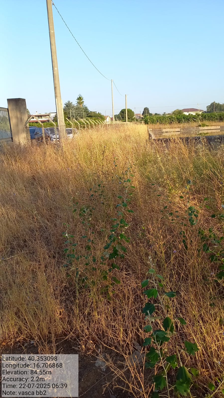 Galleria Fotografica Immagine