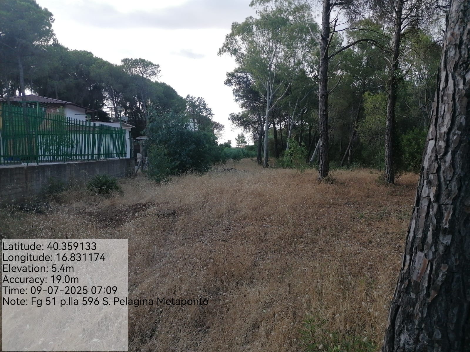 Galleria Fotografica Immagine