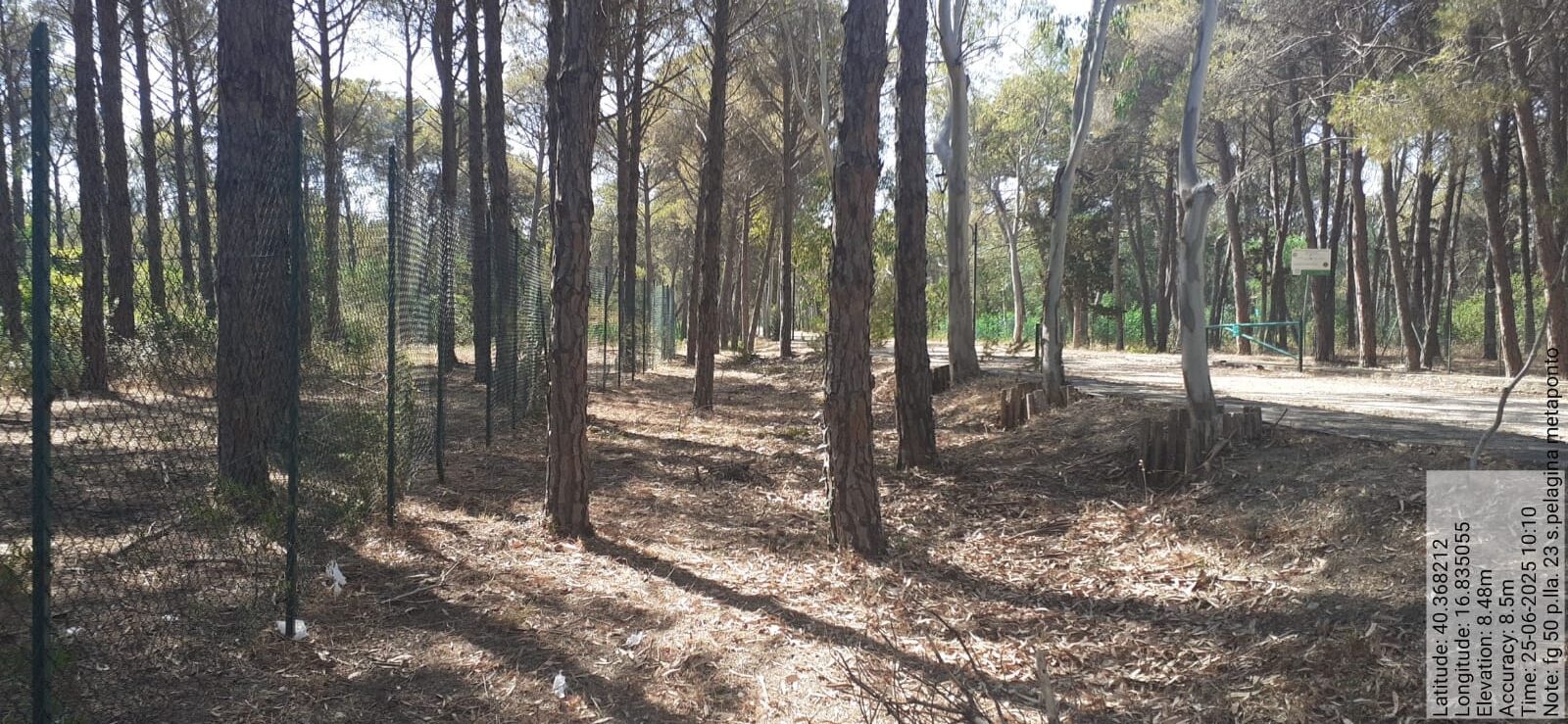 Galleria Fotografica Immagine