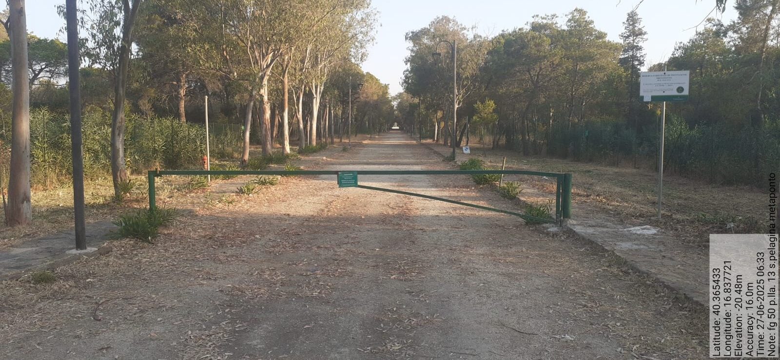 Galleria Fotografica Immagine