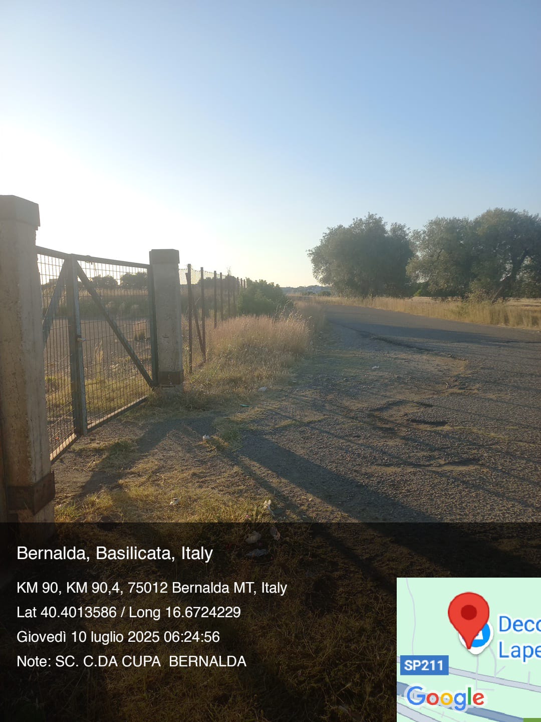 Galleria Fotografica Immagine