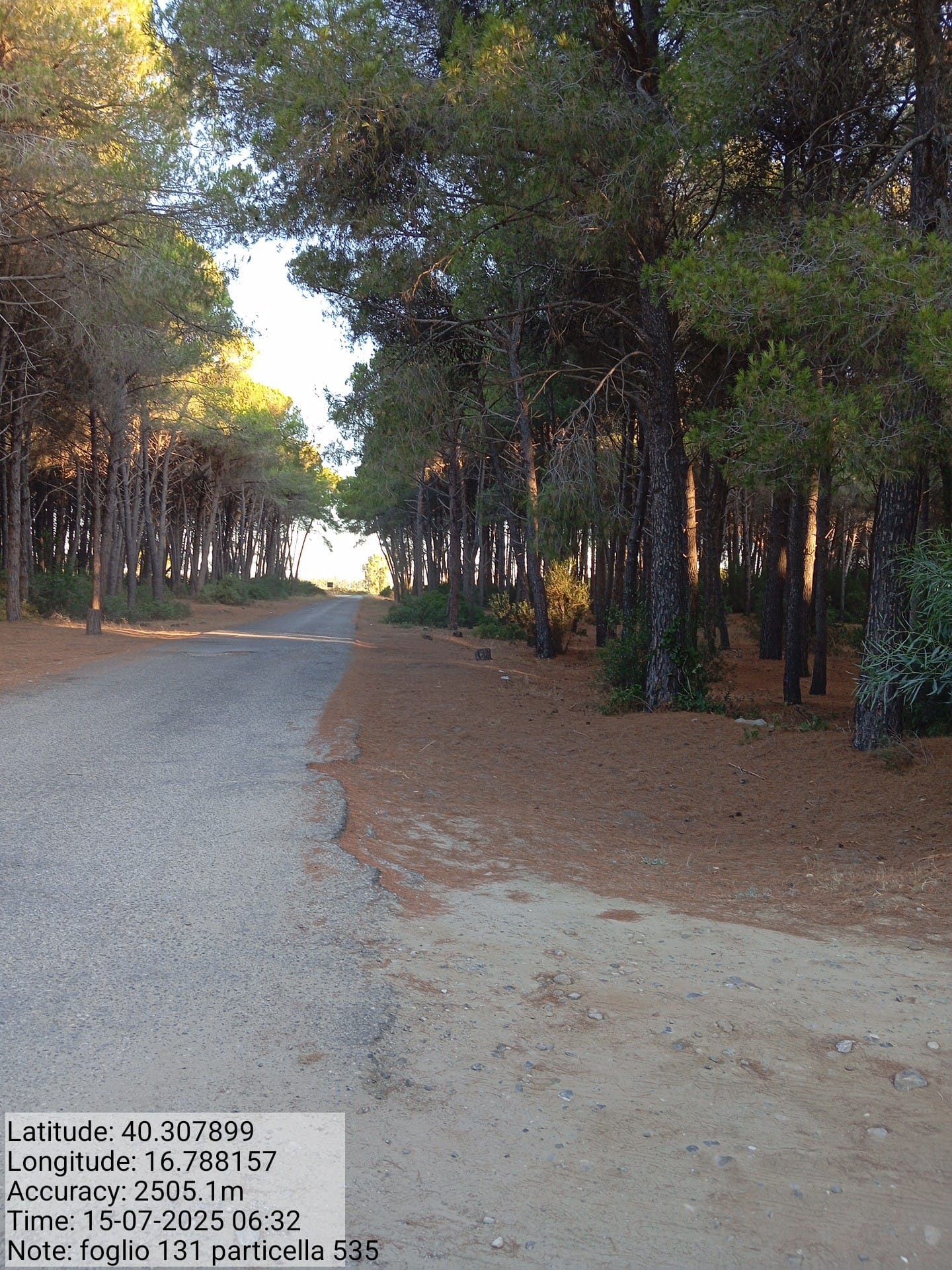 Galleria Fotografica Immagine