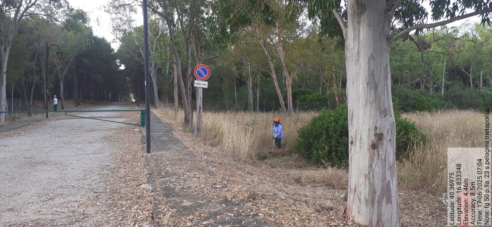 Galleria Fotografica Immagine