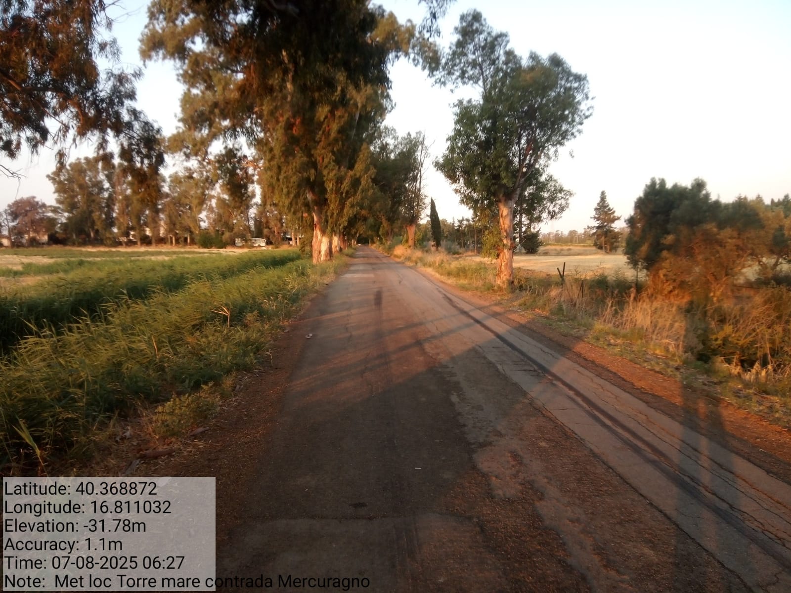 Galleria Fotografica Immagine