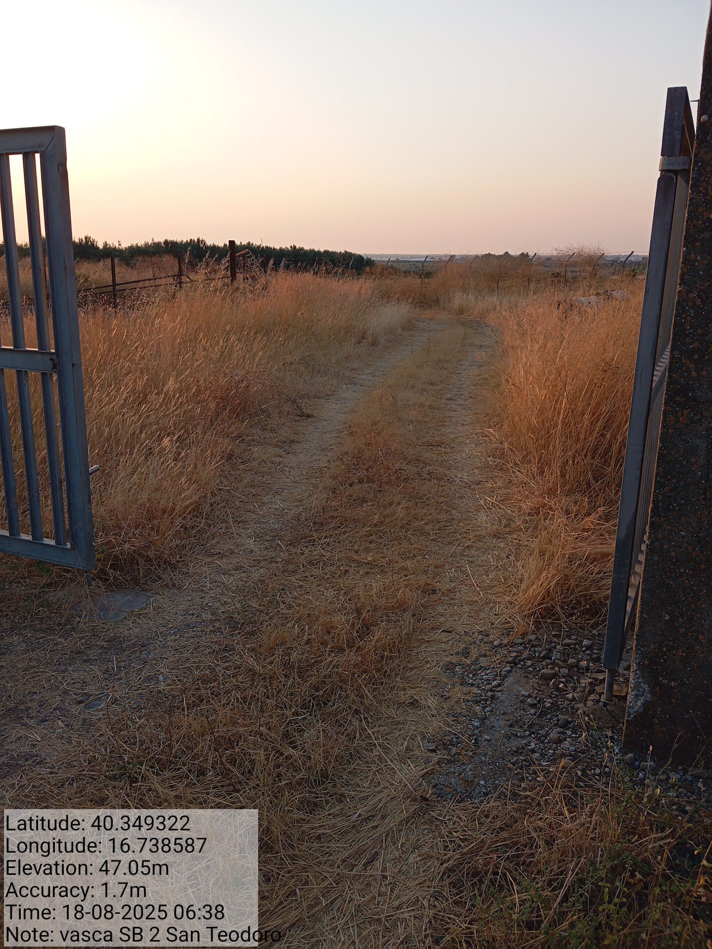 Galleria Fotografica Immagine