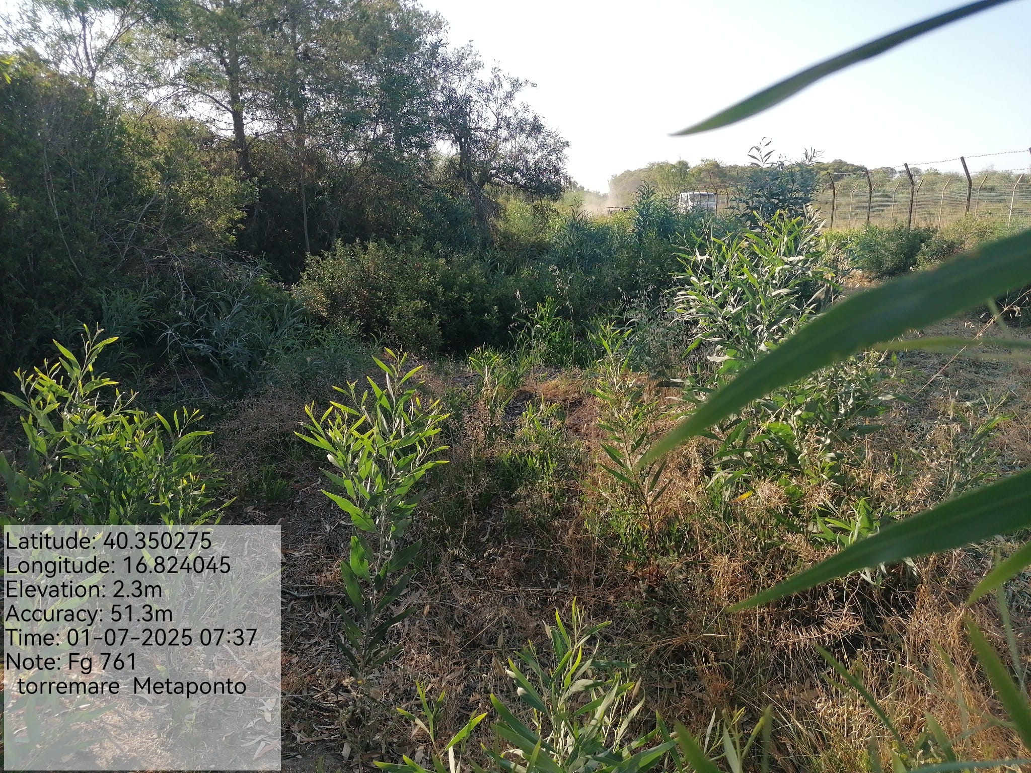 Galleria Fotografica Immagine