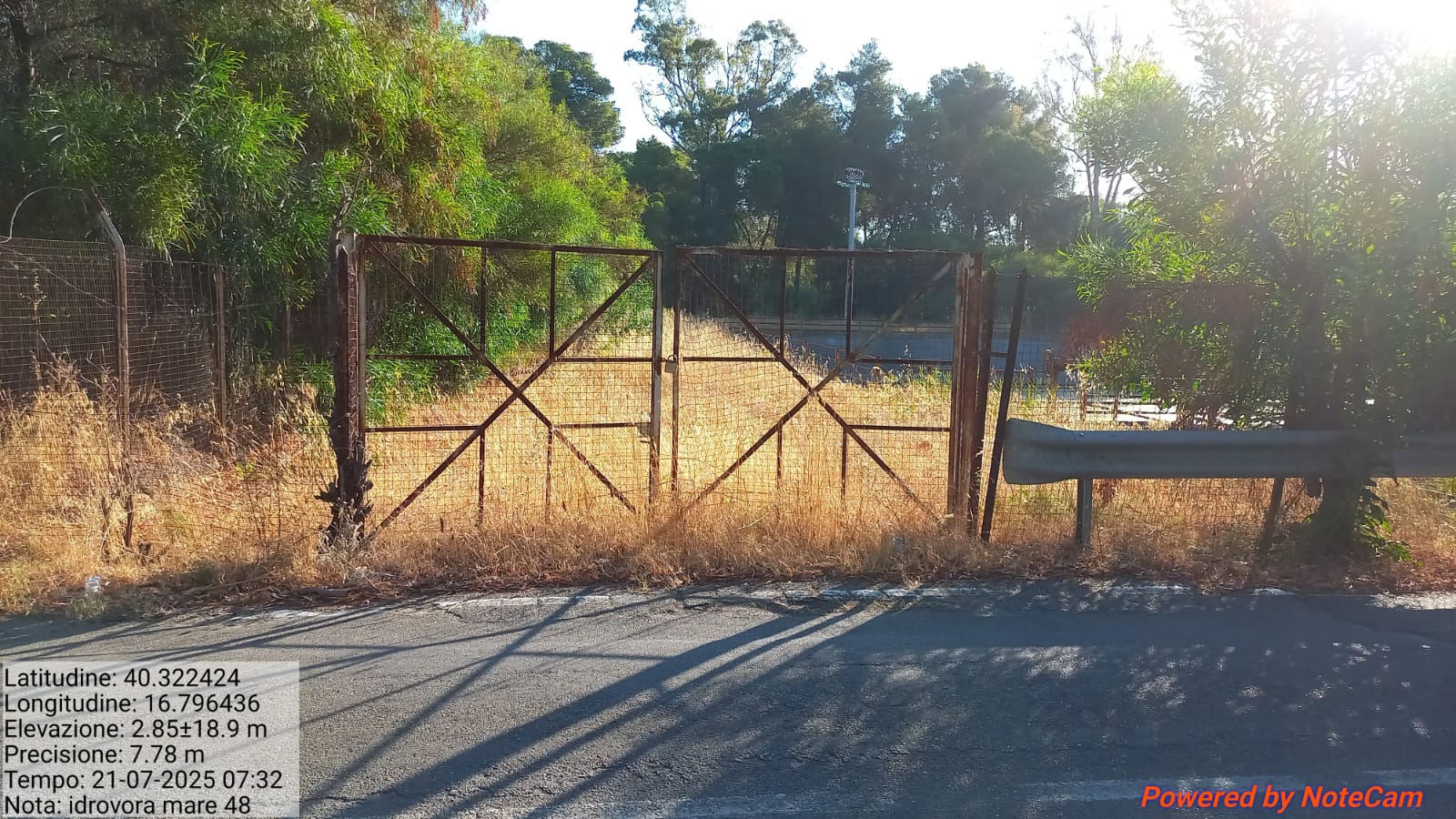 Galleria Fotografica Immagine