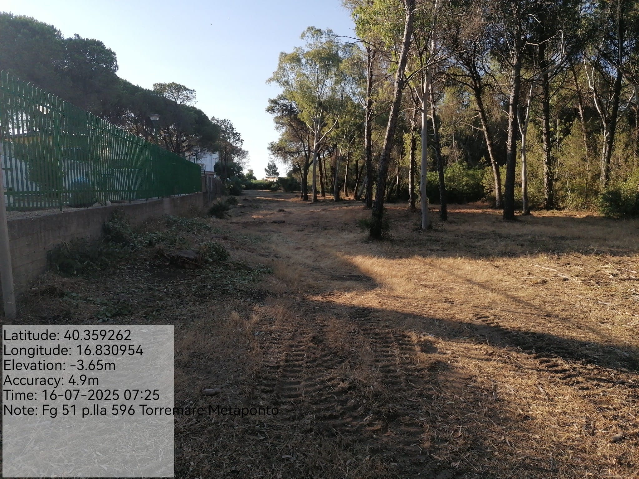 Galleria Fotografica Immagine