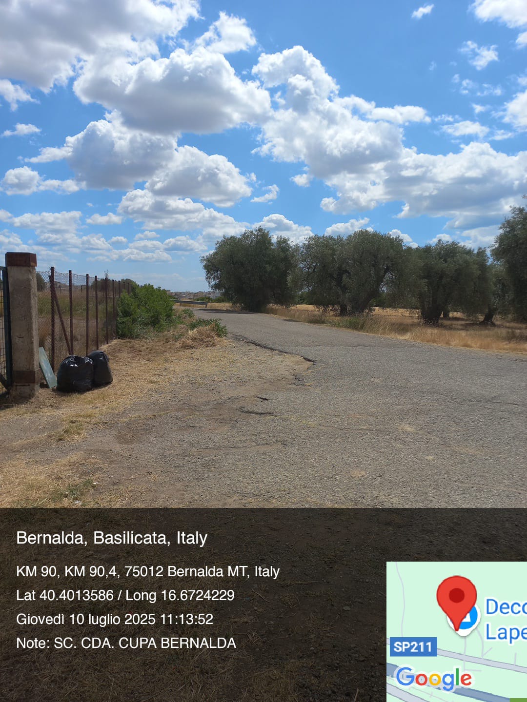 Galleria Fotografica Immagine