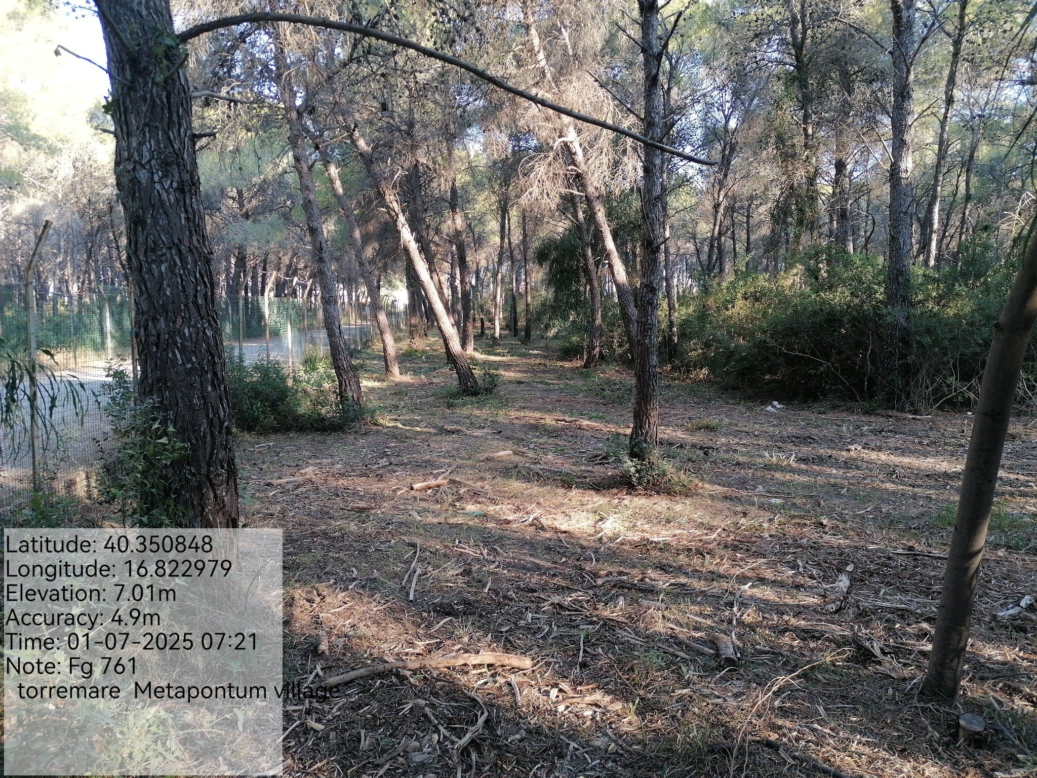 Galleria Fotografica Immagine