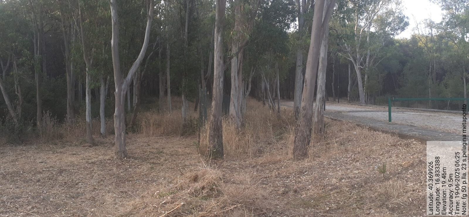 Galleria Fotografica Immagine