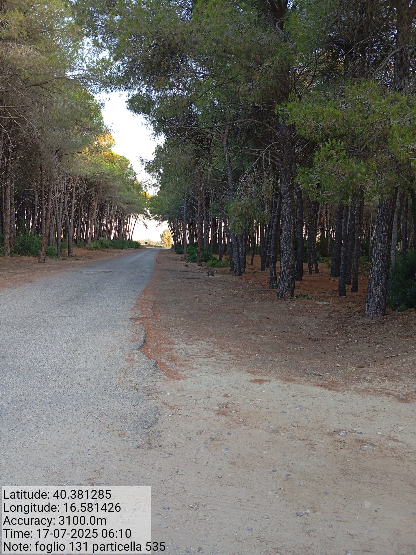 Galleria Fotografica Immagine