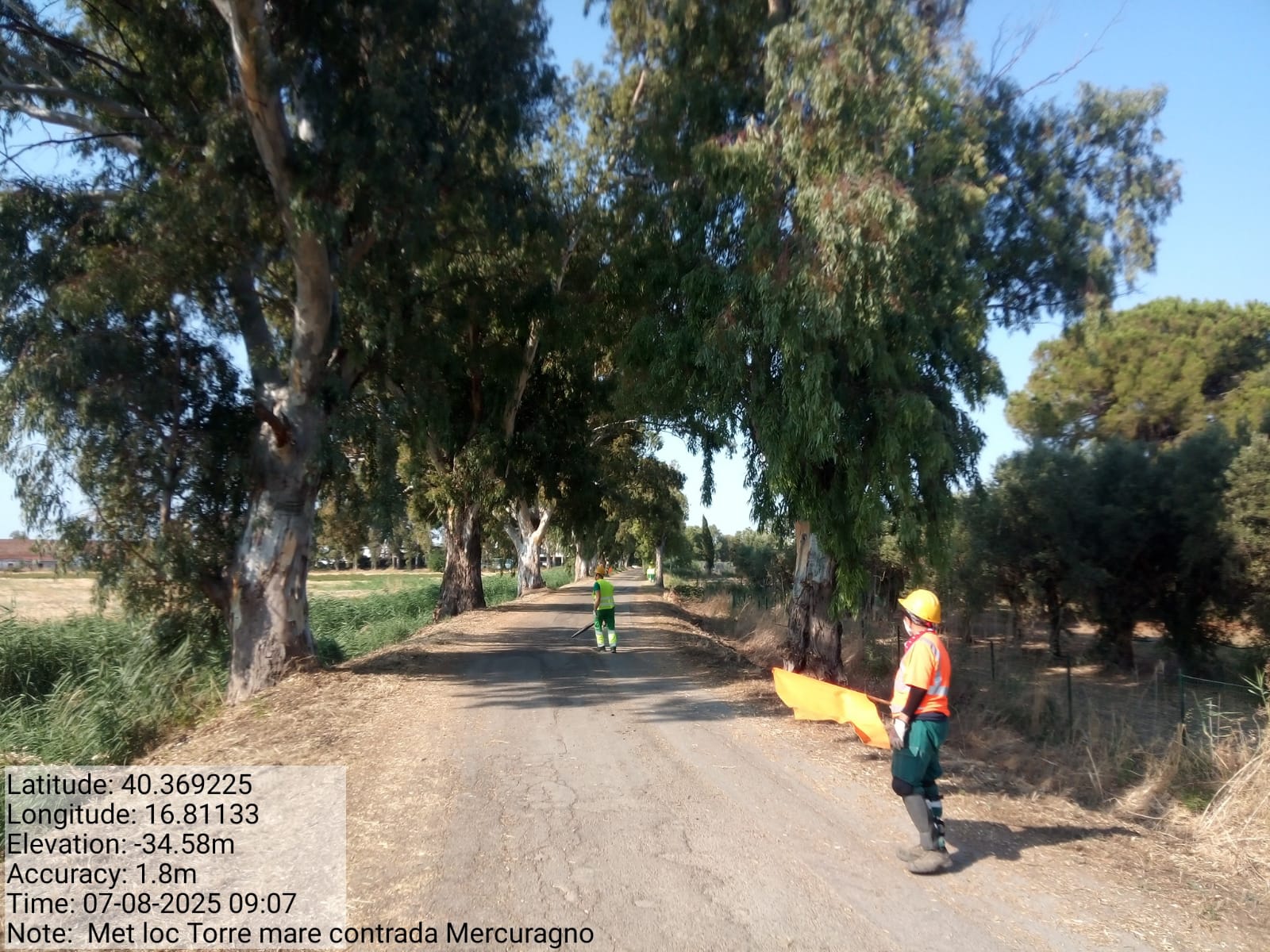 Galleria Fotografica Immagine