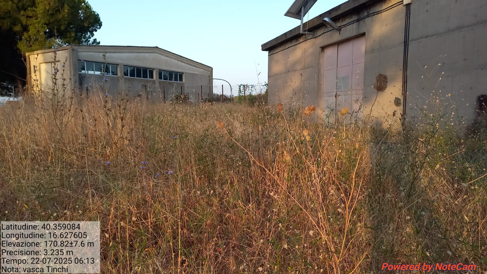 Galleria Fotografica Immagine