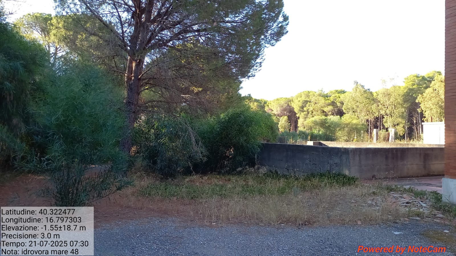 Galleria Fotografica Immagine