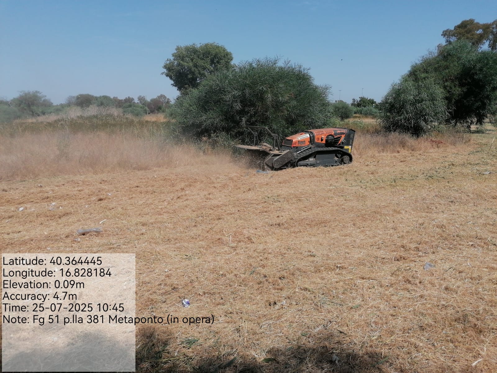 Galleria Fotografica Immagine