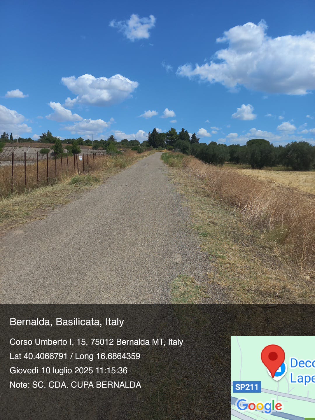 Galleria Fotografica Immagine