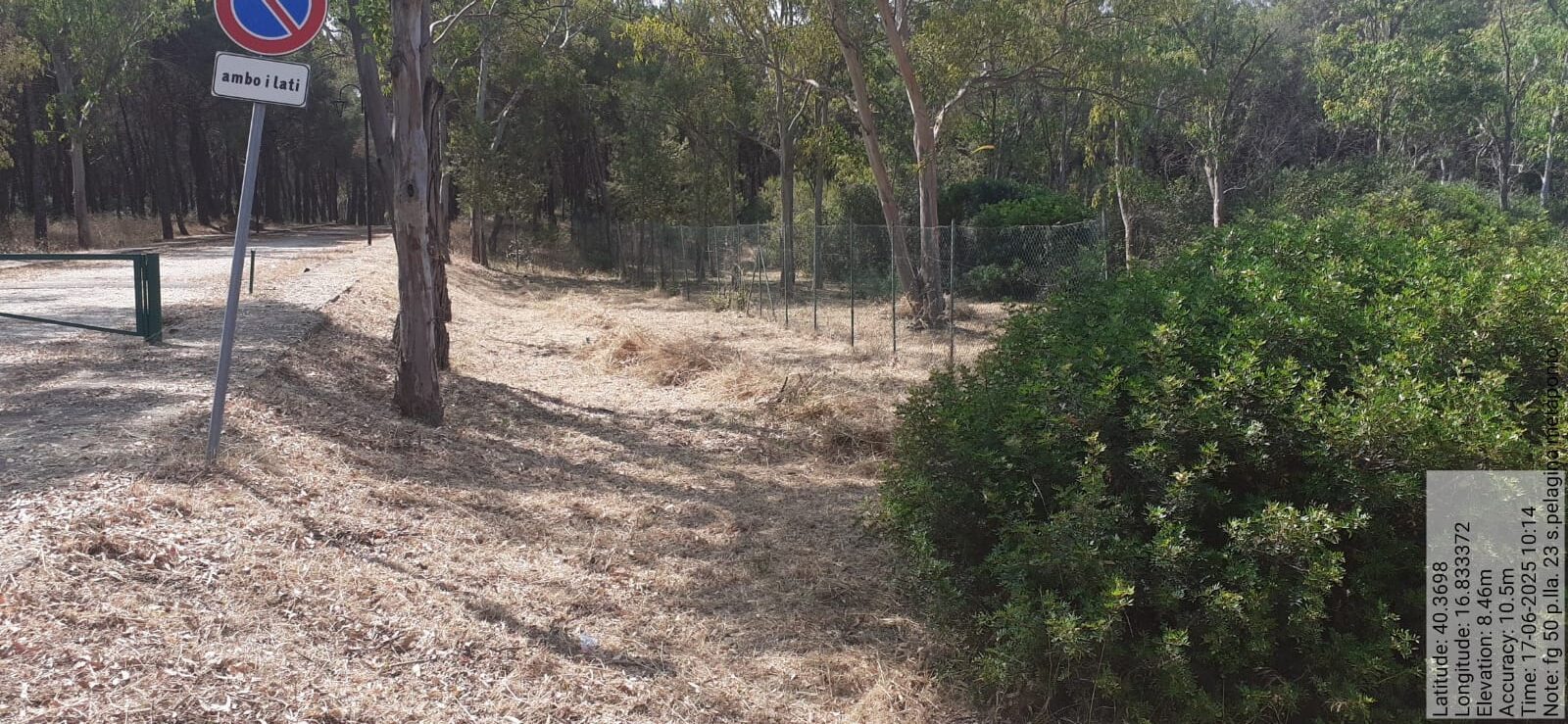 Galleria Fotografica Immagine