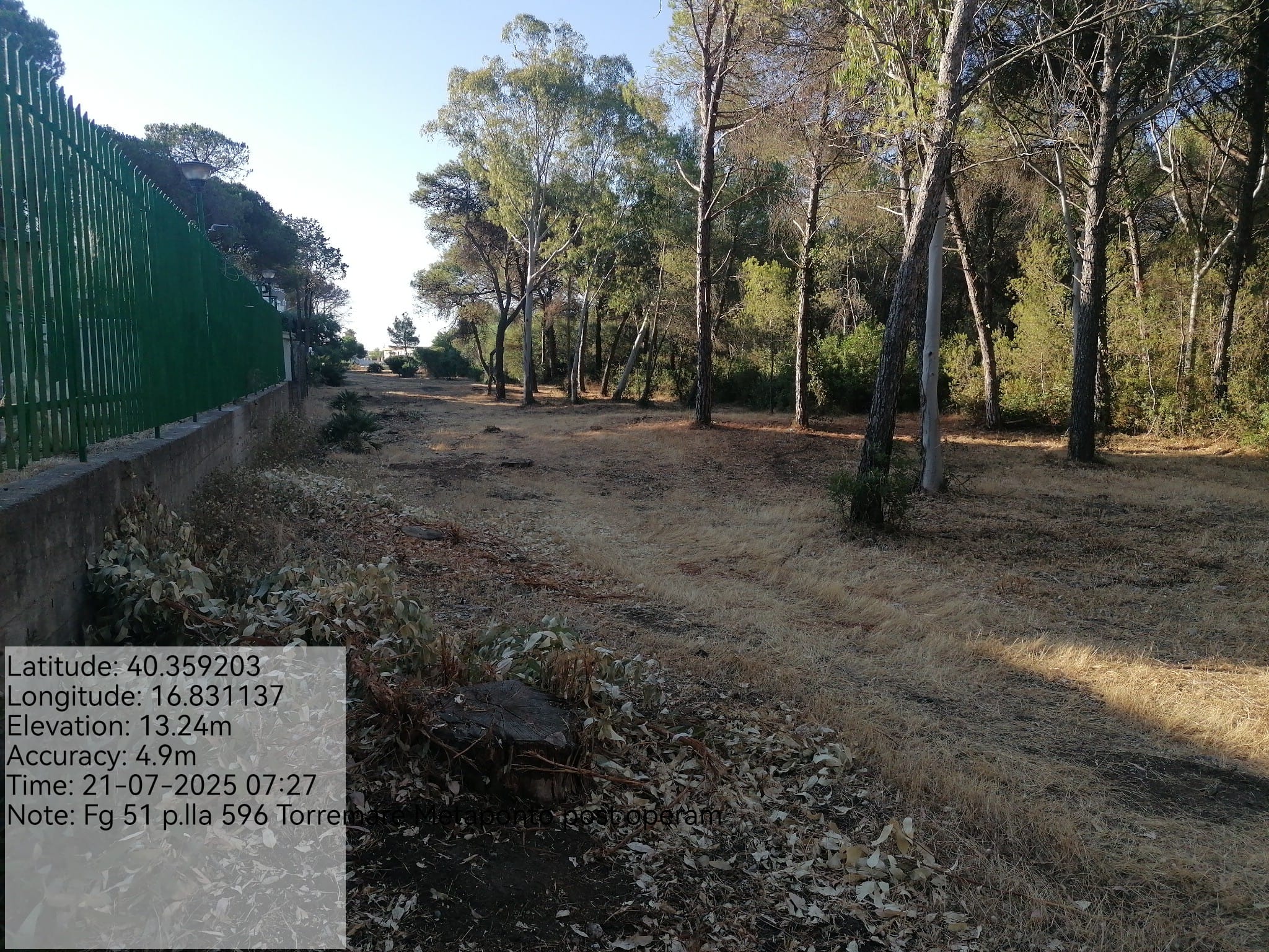 Galleria Fotografica Immagine