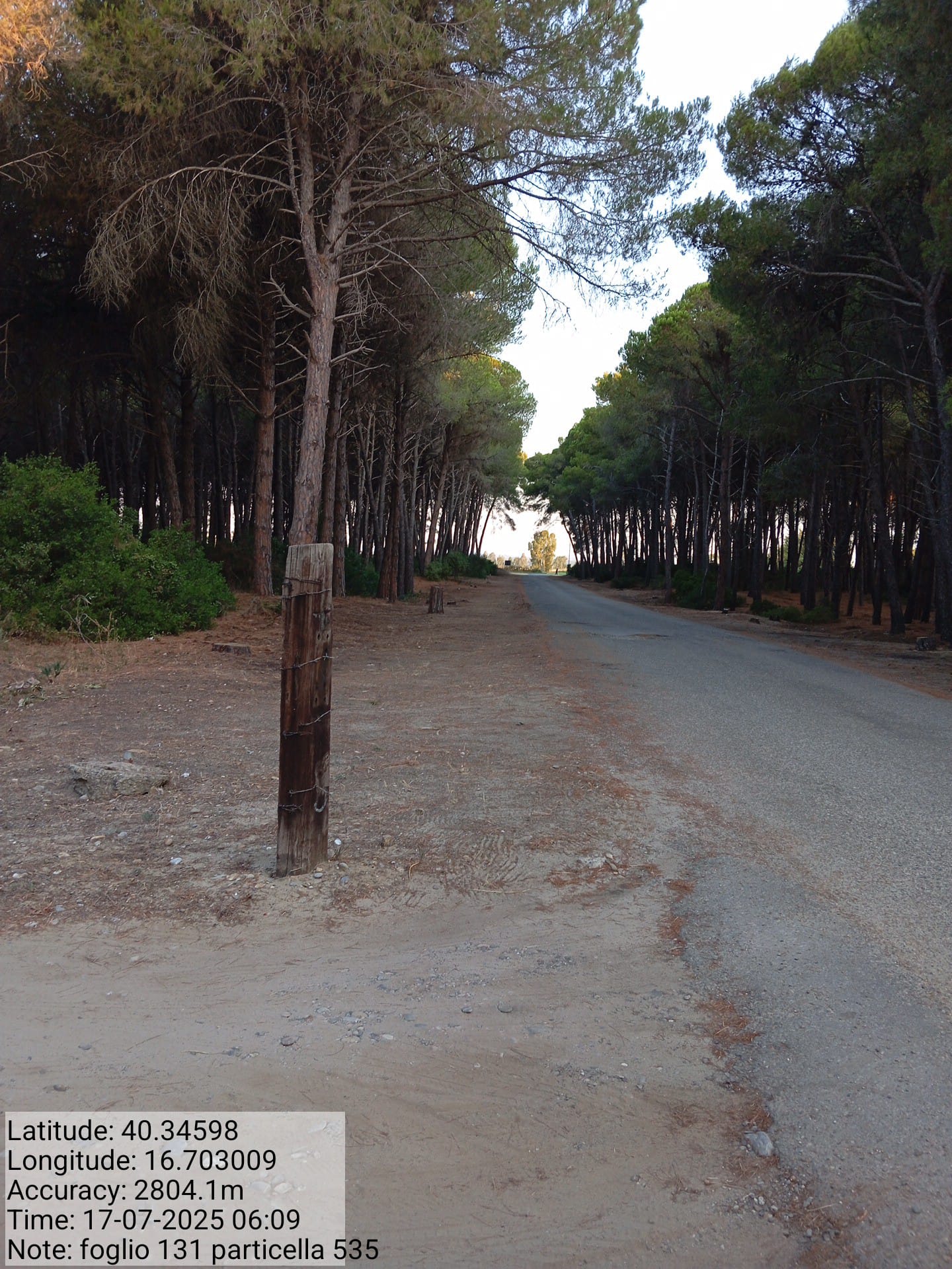 Galleria Fotografica Immagine