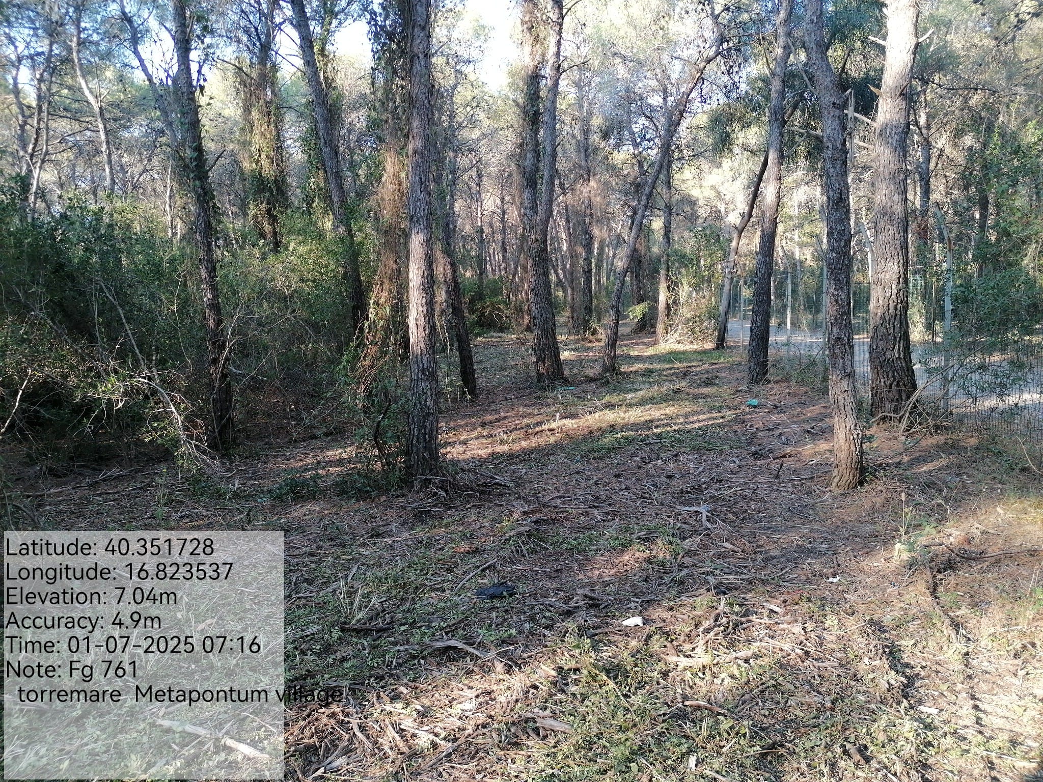 Galleria Fotografica Immagine