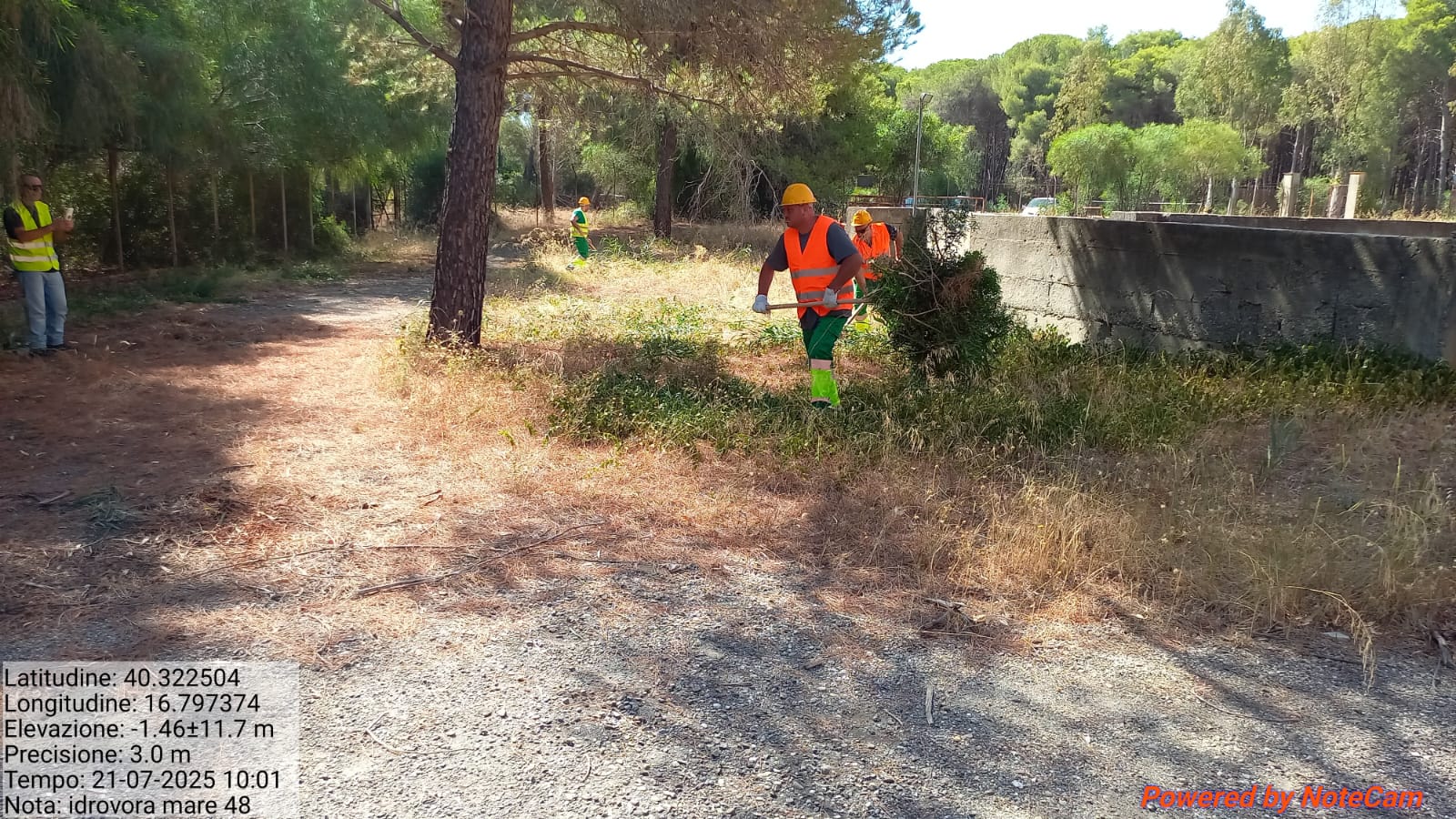 Galleria Fotografica Immagine