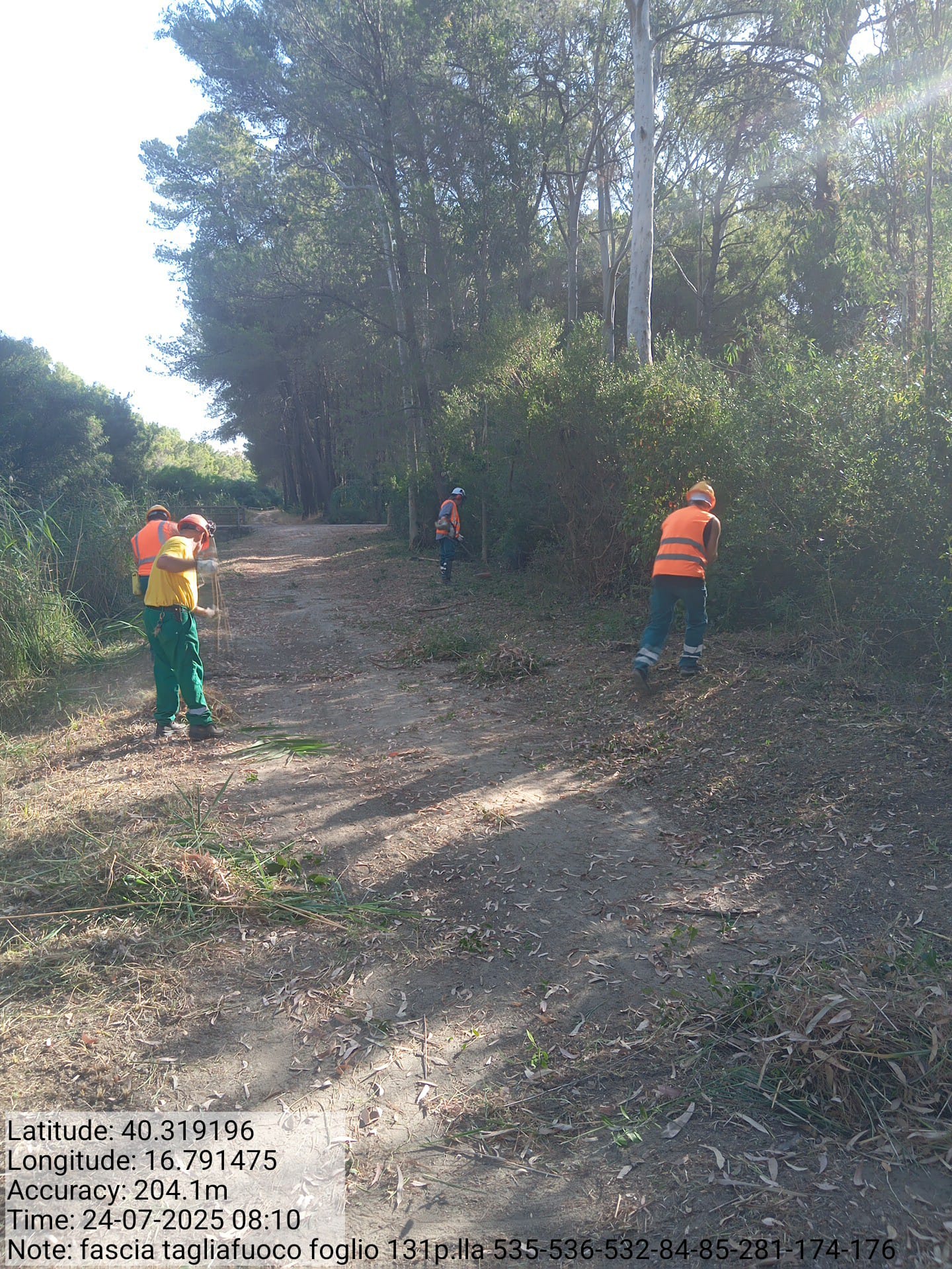 Galleria Fotografica Immagine