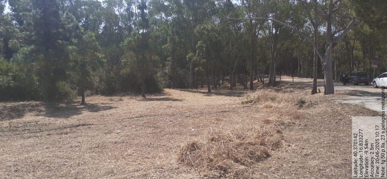 Galleria Fotografica Immagine