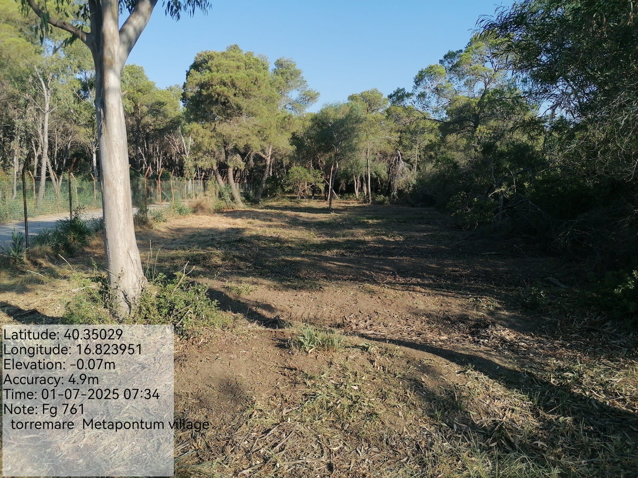 Galleria Fotografica Immagine