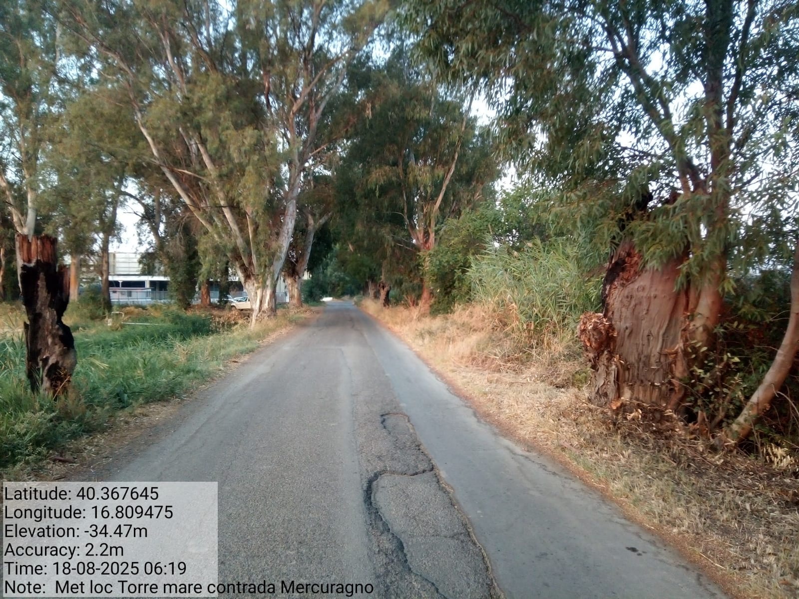 Galleria Fotografica Immagine