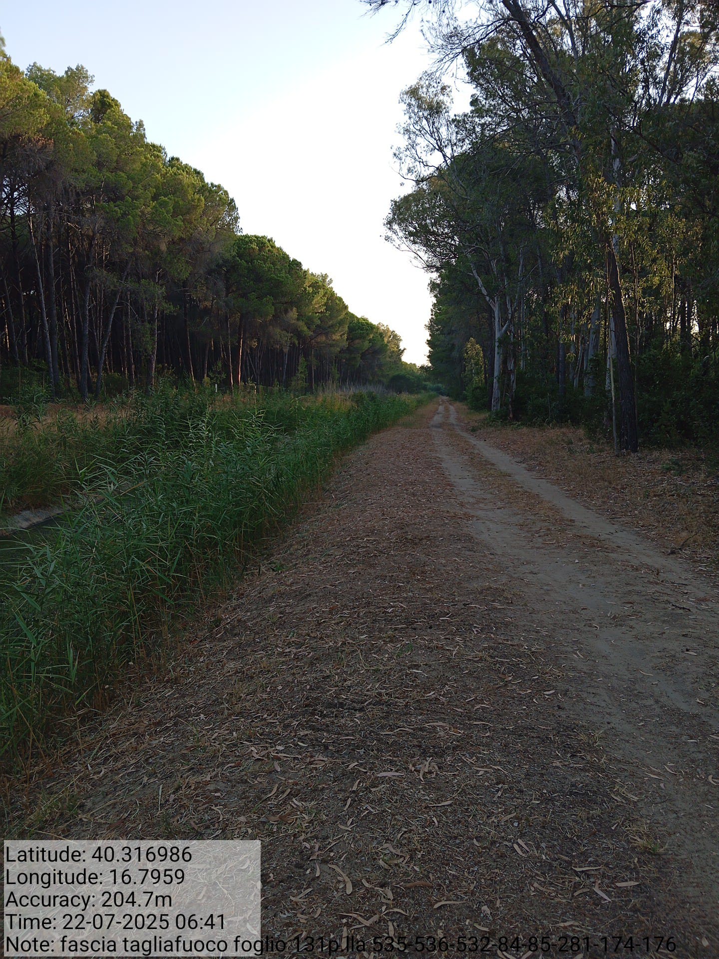 Galleria Fotografica Immagine