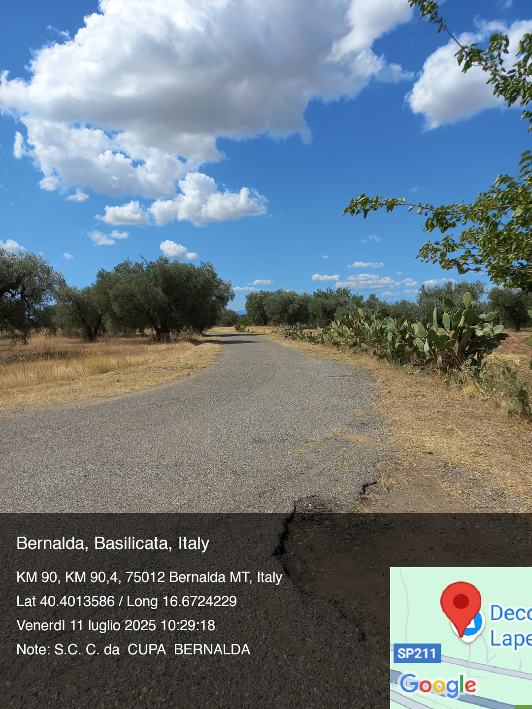 Galleria Fotografica Immagine