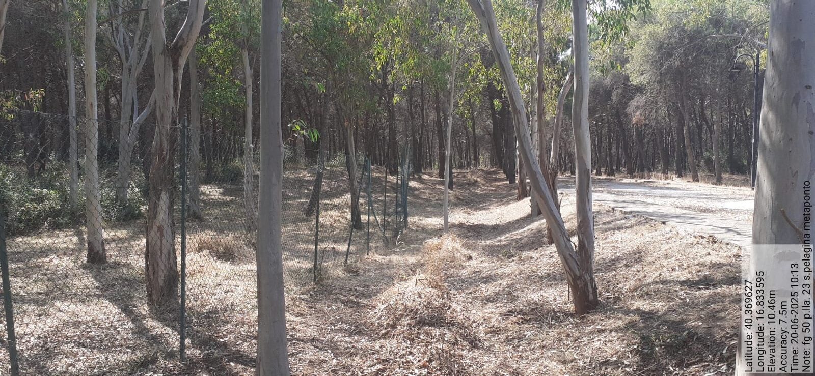 Galleria Fotografica Immagine