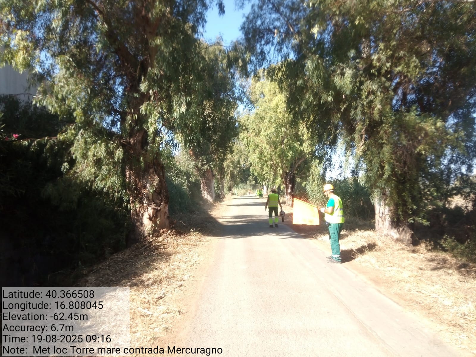 Galleria Fotografica Immagine