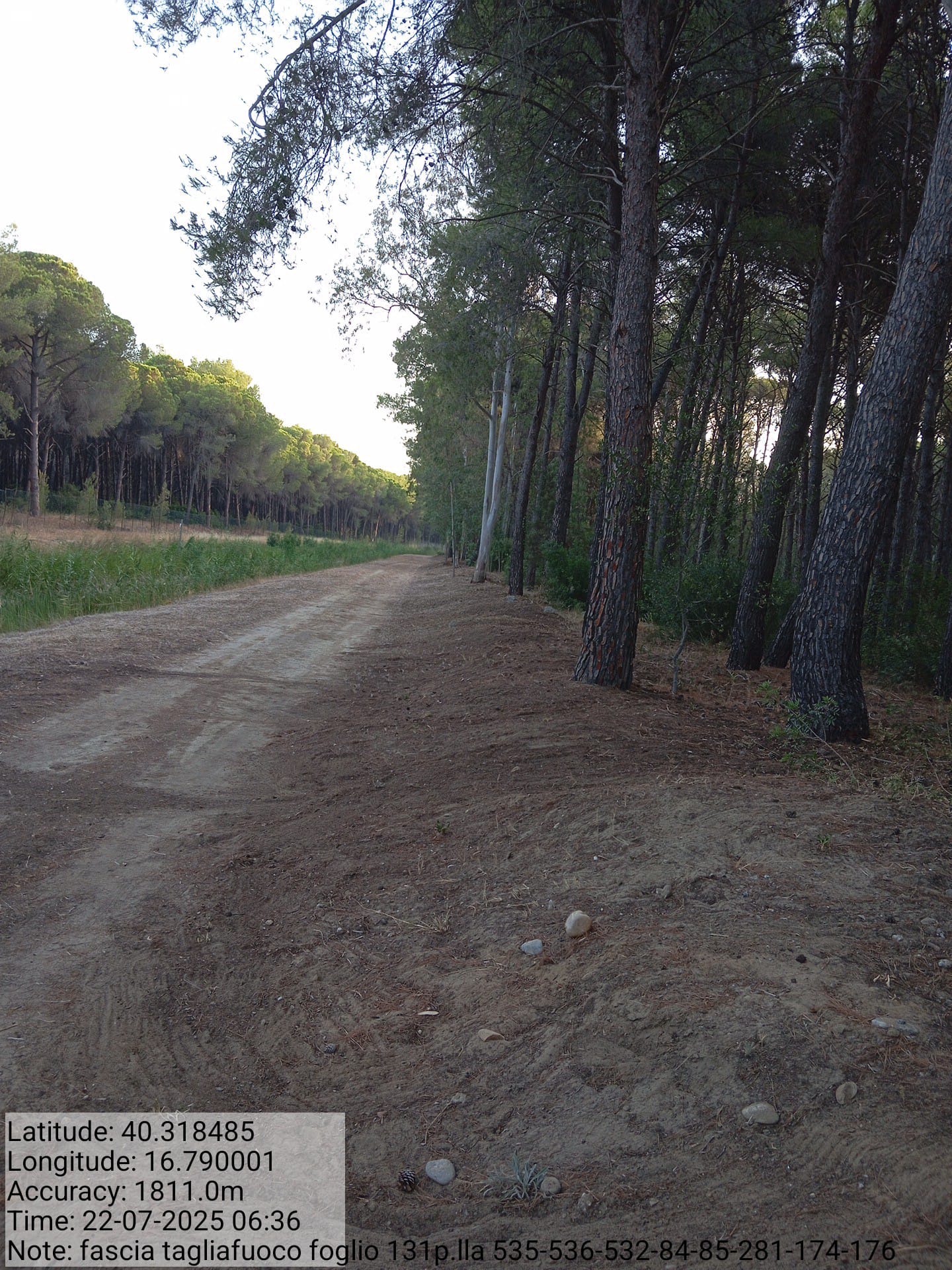 Galleria Fotografica Immagine