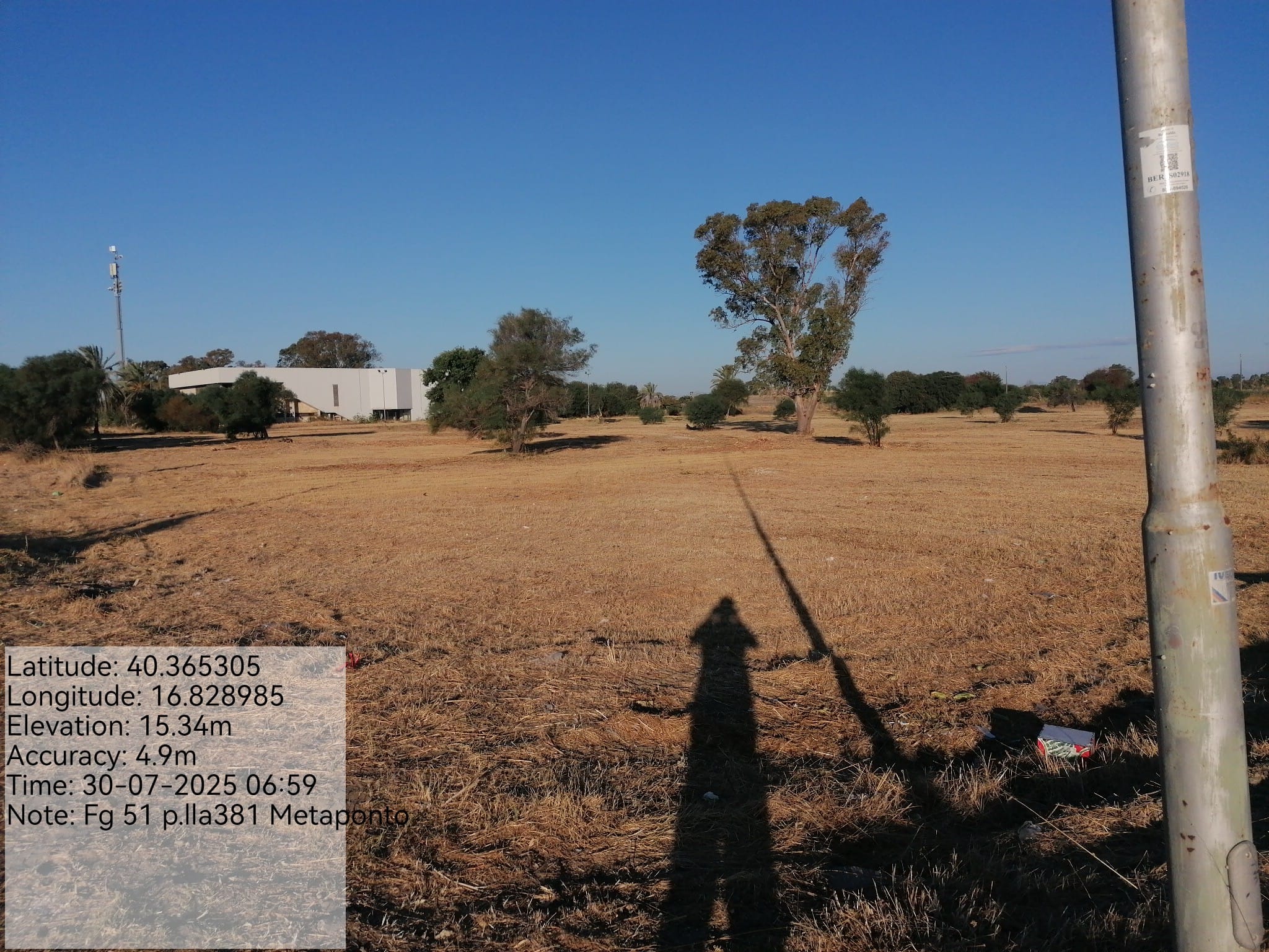 Galleria Fotografica Immagine