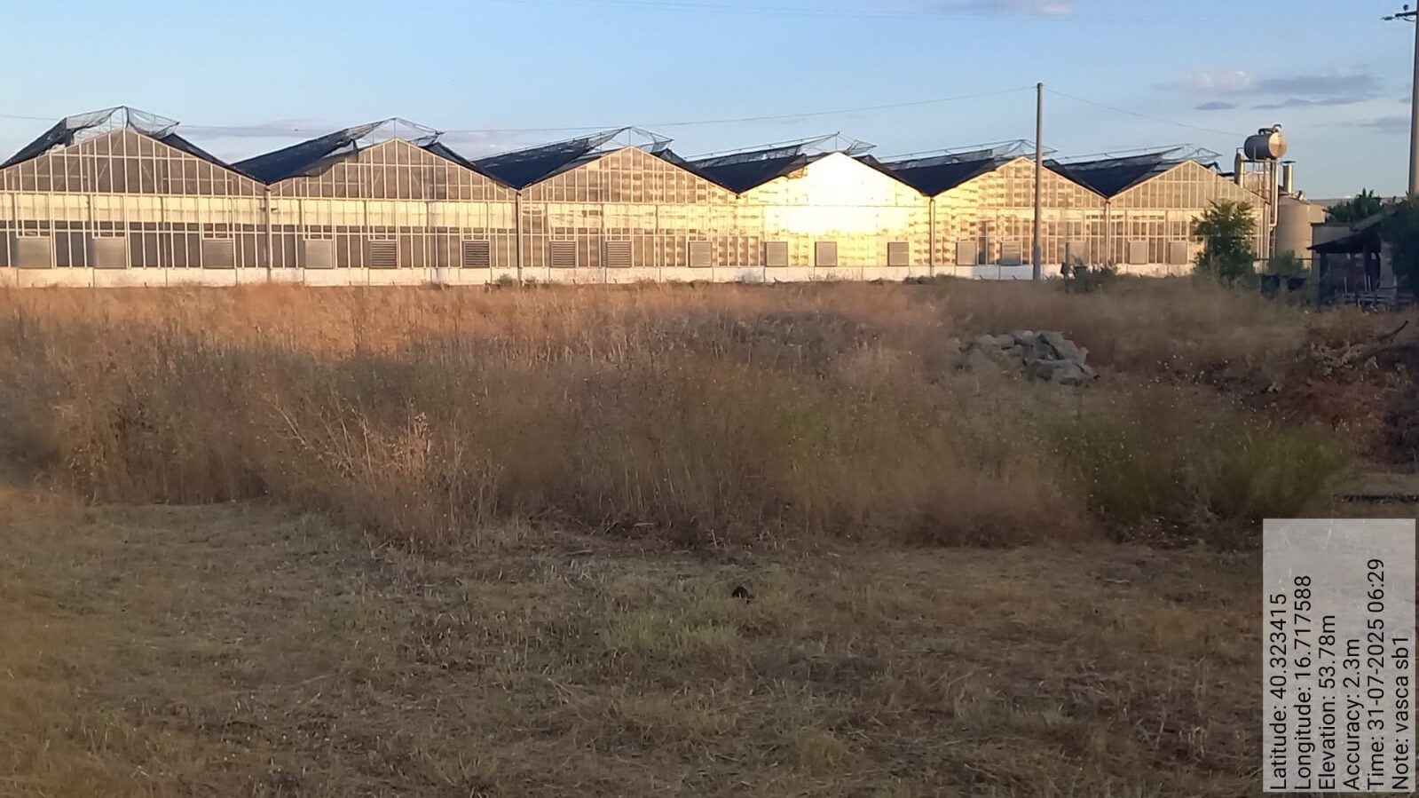 Galleria Fotografica Immagine