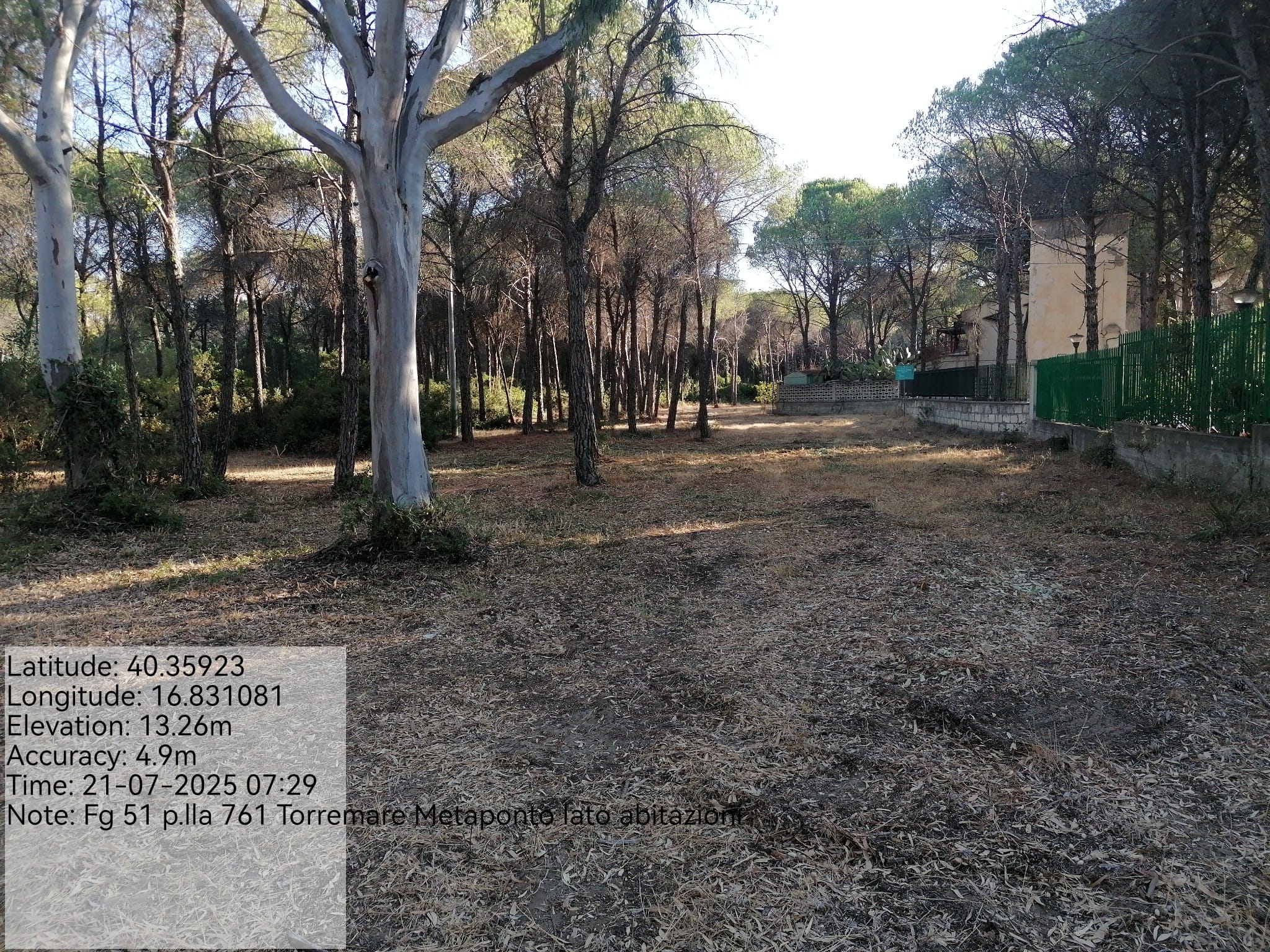 Galleria Fotografica Immagine