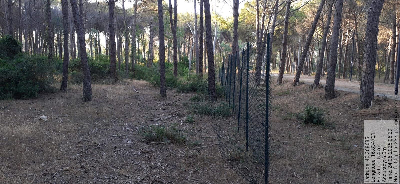 Galleria Fotografica Immagine