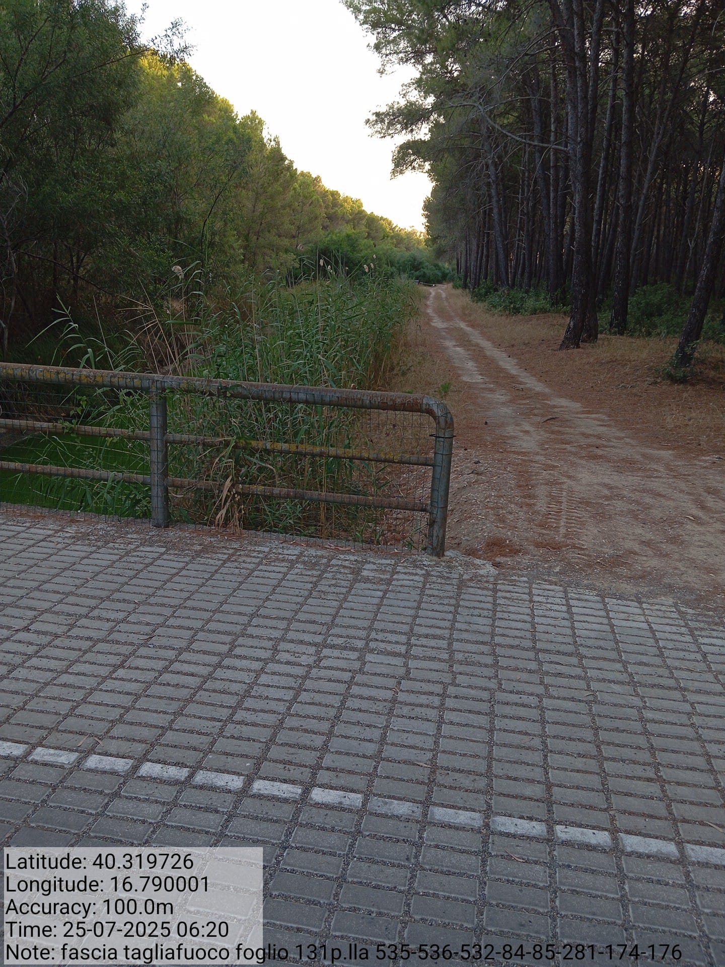 Galleria Fotografica Immagine