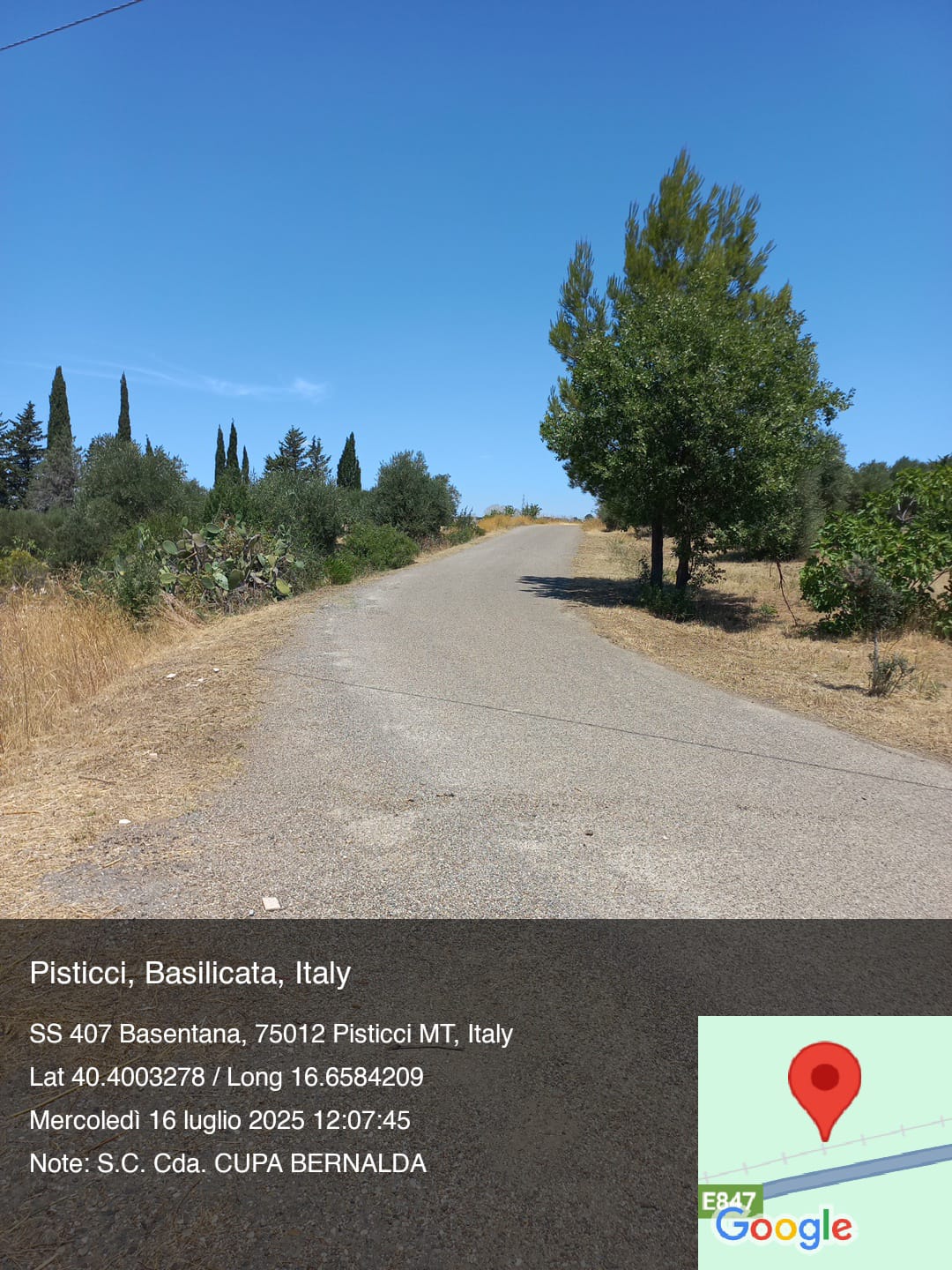 Galleria Fotografica Immagine