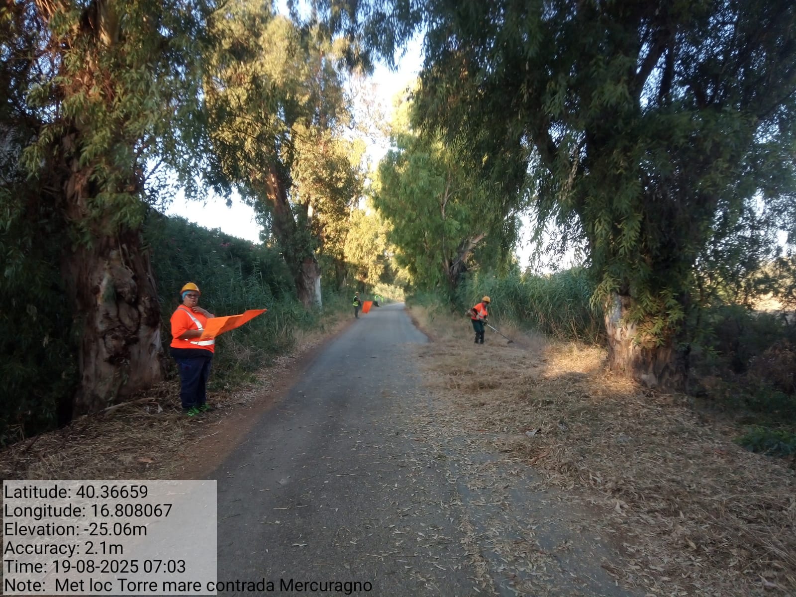 Galleria Fotografica Immagine